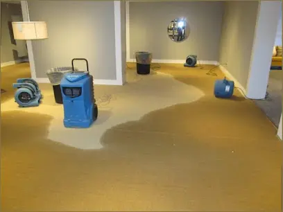 Drying a floor after a water loss in Encino