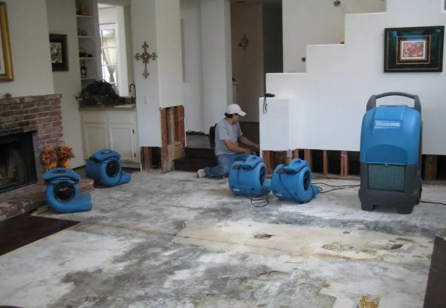 Appliance Supply Line Leak Cleanup in Encino, CA