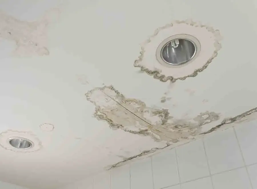 Roof and Storm Leak Water Damage in Encino, CA